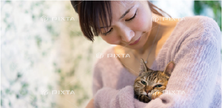 里親と出会った保護猫のイメージ画像